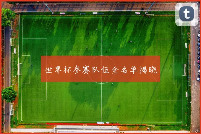 世界杯参赛队伍全名单揭晓