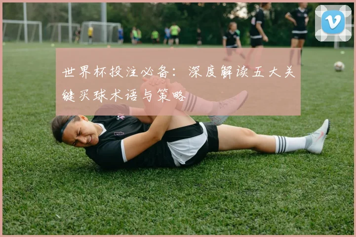世界杯投注必备:深度解读五大关键买球术语与策略