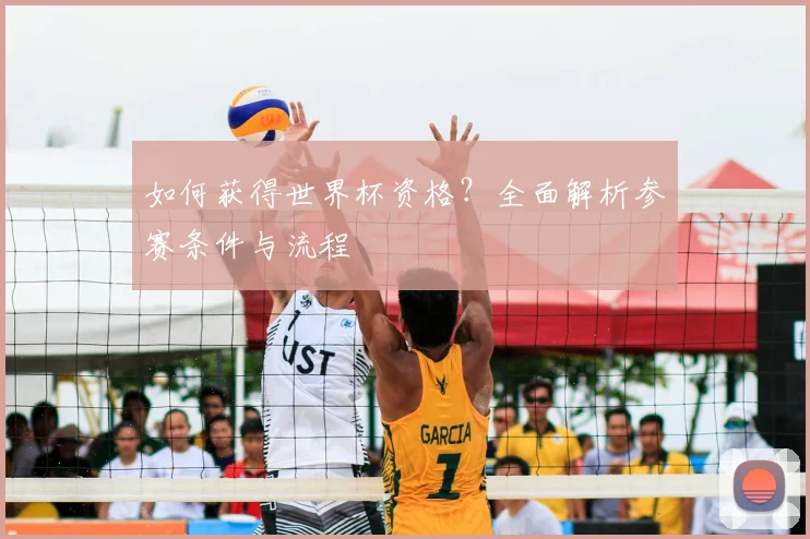 如何获得世界杯资格？全面解析参赛条件与流程